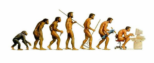 anthropology-evolution-1.jpeg