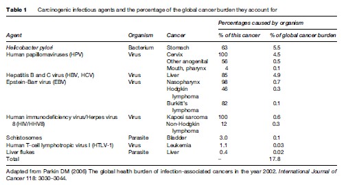 Cancer Epidemiology Research Paper
