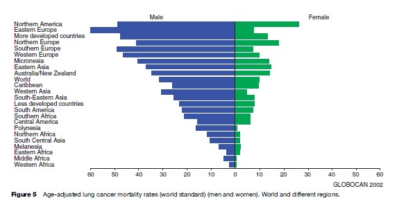 Cancer Mortality Research Paper