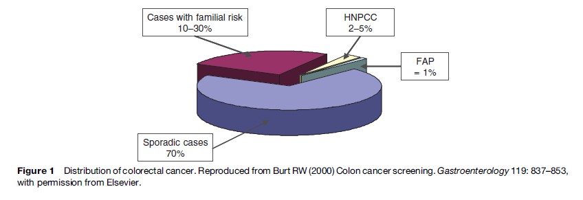 Colorectal Cancer Research Paper