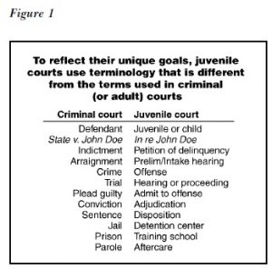 juvenile court research paper