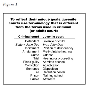 juvenile crime research paper