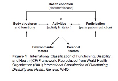 Public Health Dimensions of Disability Research Paper Figure 1