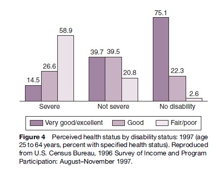 Public Health Dimensions of Disability Research Paper Figure 4
