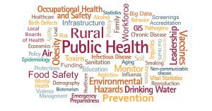 Public Health Research Paper