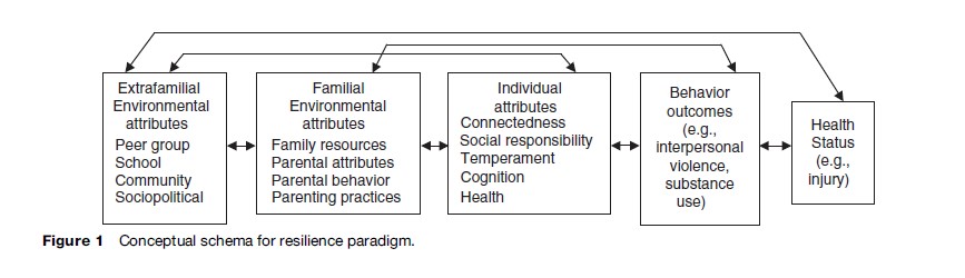 Young People and Violence Research Paper Figure 1