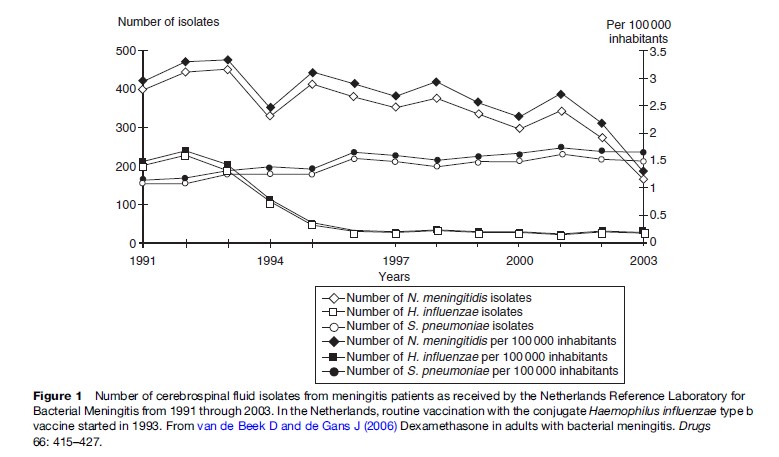 Bacterial Meningitis Research Paper