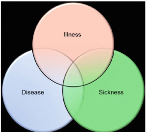 Disease Research Paper