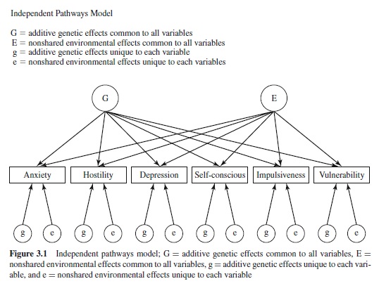 Genetic Basis of Personality Structure Research Paper