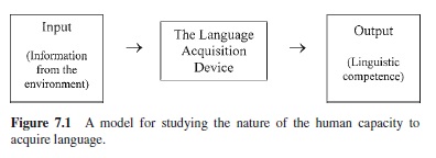 Language Development in Childhood Research Paper