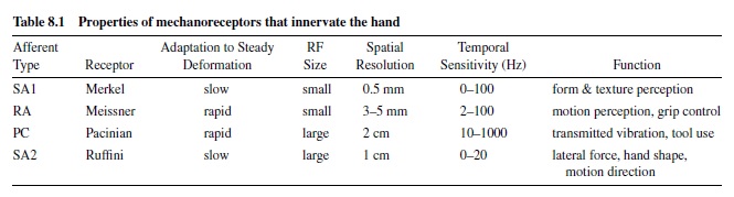 Tactile Information Processing in the Primate Brain Research Paper