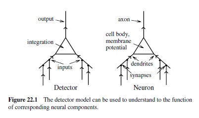 Computational Models of Neural Networks Research Paper