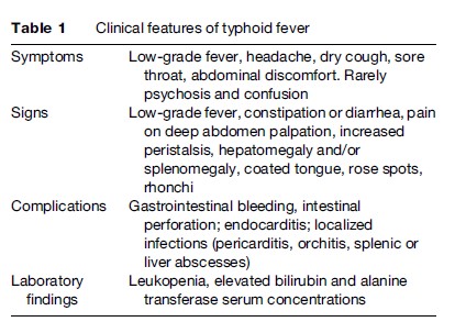 Typhoid Fever Research Paper