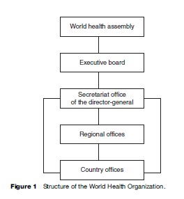 World Health Organization Research Paper