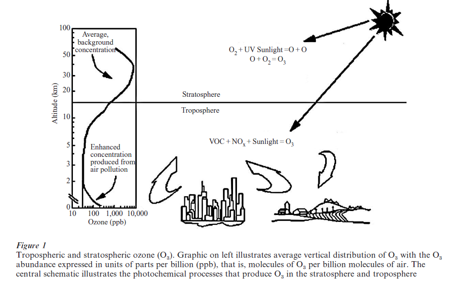 Tropospheric Ozone Research Paper