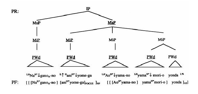 Syntax-Phonology Interface Research Paper