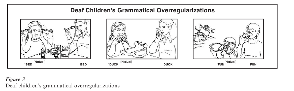 Sign Language Research Paper Figure 3