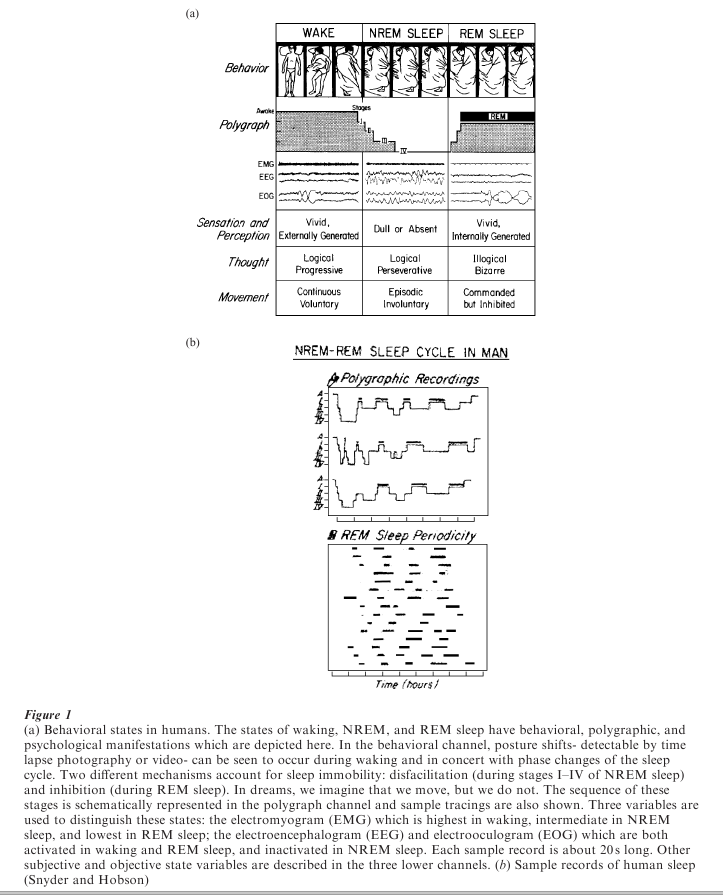 Sleep and Neural Systems Research Paper Figure 1