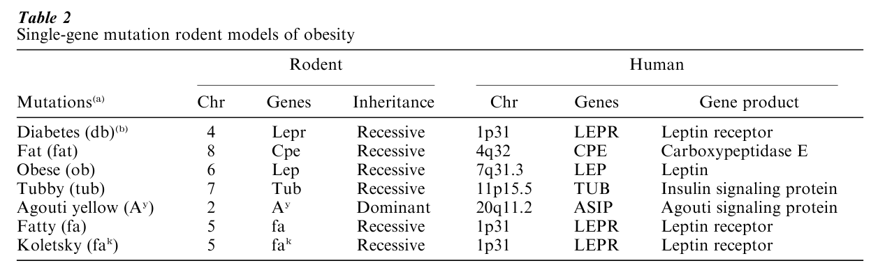 Genetic Determinants Of Obesity Research Paper