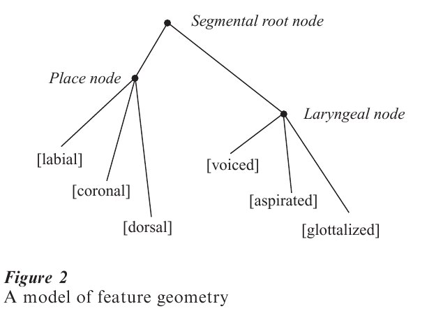 Nonlinear Phonology Research Paper fig 2