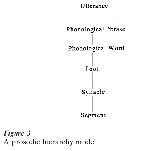Nonlinear Phonology Research Paper fig 3