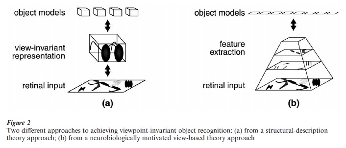 Object Recognition Theories Research Paper