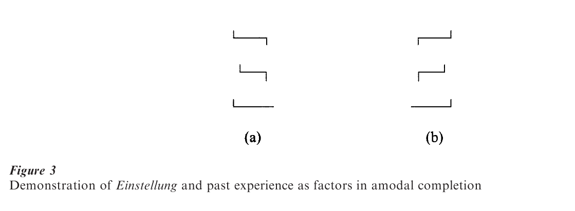 Perceptual Organization Research Paper Figure 3