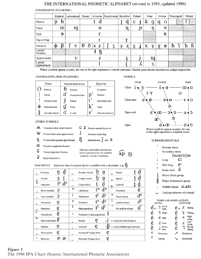 Articulatory Phonetics Research Paper figure 1