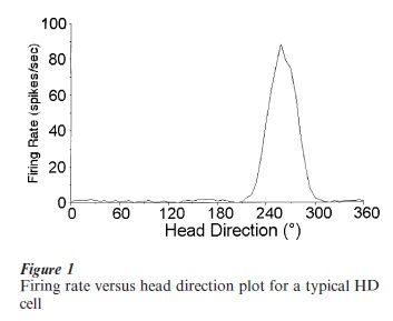 Neural Representations Of Direction Research Paper