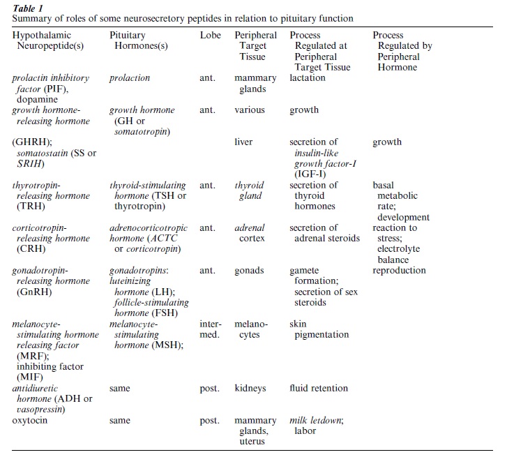 Neuroendocrinology Research Paper