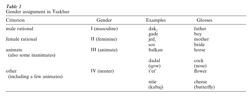 Grammatical Gender Research Paper
