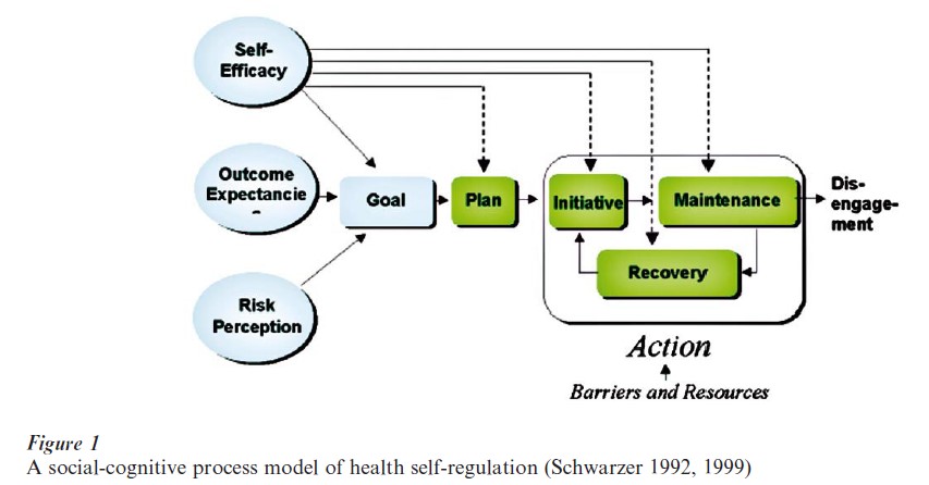 Health and Self-Regulation Research Paper