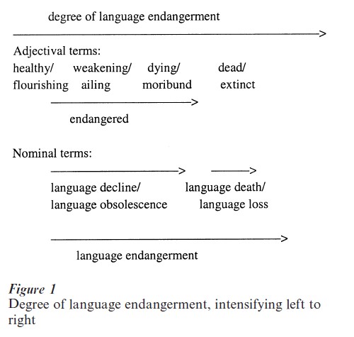 Language Endangerment Research Paper