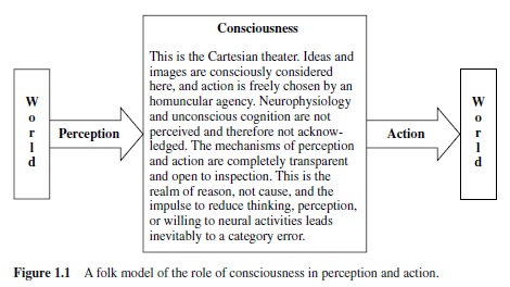 Consciousness Research Paper