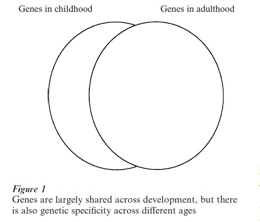 Genetic Factors In Intelligence Research Paper