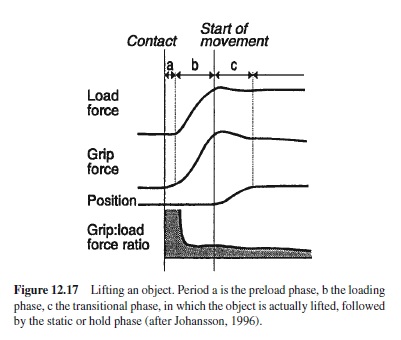 Motor Control Research Paper