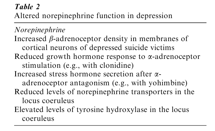 Depression Research Paper