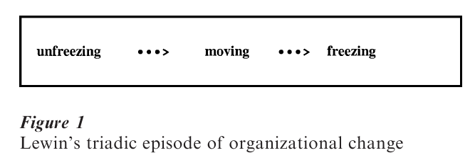 Organizational Development Research Paper