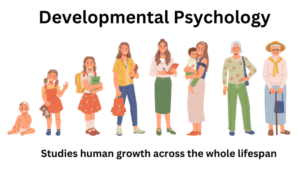 Developmental Psychology Research Paper Topics
